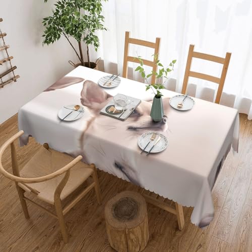 Niedliche Chihuahua-Tischdecke, quadratisch, Spitze, klassische Schneiderei für Esstische, Couchtische und Feiertagsfeiern Niedliche Chihuahua-Tischdecke, quadratisch, Spitze, klassische Schneiderei für Esstische, Couchtische und Feiertagsfeiern von JaoXer
