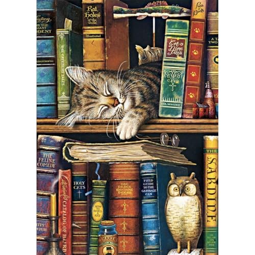 Jawecci Katze Diamond Painting Erwachsene, 5D Bücherregal Diamant Painting Bilder Erwachsene Anfänger, DIY Runde Steine Katze Diamant Kunst Set Diamant Malerei für Home Dekor 30x40cm von Jawecci