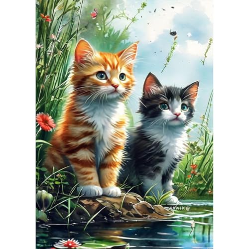 Jawecci Diamond Painting Erwachsene, 5D Katzen Diamant Painting Bilder Erwachsene Anfänger, DIY Runde Steine Kitty Diamant Kunst Set Diamant Malerei Kinder für Home Dekor 30x40cm von Jawecci