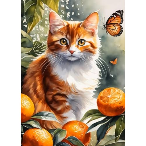 Jawecci Katze Diamond Painting Erwachsene, 5D Diamant Painting Bilder Erwachsene Orange Kitty, DIY Runde Diamant Kunst Set Diamant Malerei Kinder für Home Dekor 30x40cm von Jawecci
