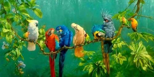 Diamond Painting Vogel Papagei Diamond Art Painting Full Zubehör, Diamant Painting Bilder Erwachsene Groß Stickerei Kreuzstich Kinder Diamant Malerei Art Craft Wanddekoration Gifts 30x60cm Z-51 Diamond Painting Vogel Papagei Diamond Art Painting Full Zubehör, Diamant Painting Bilder Erwachsene Groß Stickerei Kreuzstich Kinder Diamant Malerei Art Craft Wanddekoration Gifts 30x60cm Z-51 von Jaxiaco