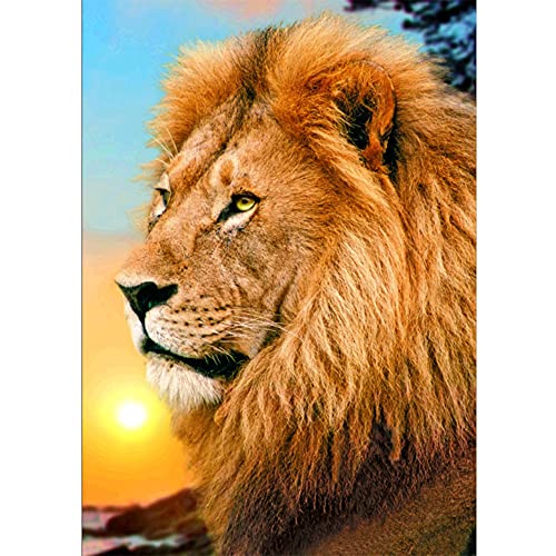 Jayogo Diamond Painting Löwe,5D Diamant Painting Bilder Groß,DIY Diamond Painting Set,Malen nach Zahlen Diamant,Diamant Malerei Erwachsene und Kinder,für Home Wall Dekoration-16x20in,40x50cm Jayogo Diamond Painting Löwe,5D Diamant Painting Bilder Groß,DIY Diamond Painting Set,Malen nach Zahlen Diamant,Diamant Malerei Erwachsene und Kinder,für Home Wall Dekoration-16x20in,40x50cm von Jayogo
