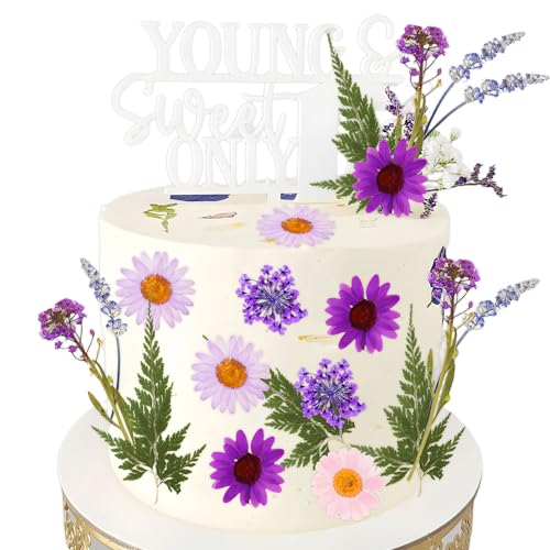 JeVenis Lila Wildblumen Tortendekoration Wildblumendekor Baby in Bloom Tortendekoration für Babyshower Geburtstag Brautdusche Hochzeit Party Deko JeVenis Lila Wildblumen Tortendekoration Wildblumendekor Baby in Bloom Tortendekoration für Babyshower Geburtstag Brautdusche Hochzeit Party Deko von JeVenis