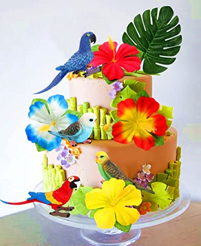 JeVenis Papageien Geburtstagstorten dekoration tropische Vogel Cupcake Dekoration Papageien Partyzubehör tropische Vogeltortendekoration Papageien Geburtstagsfeier dekoration JeVenis Papageien Geburtstagstorten dekoration tropische Vogel Cupcake Dekoration Papageien Partyzubehör tropische Vogeltortendekoration Papageien Geburtstagsfeier dekoration von JeVenis