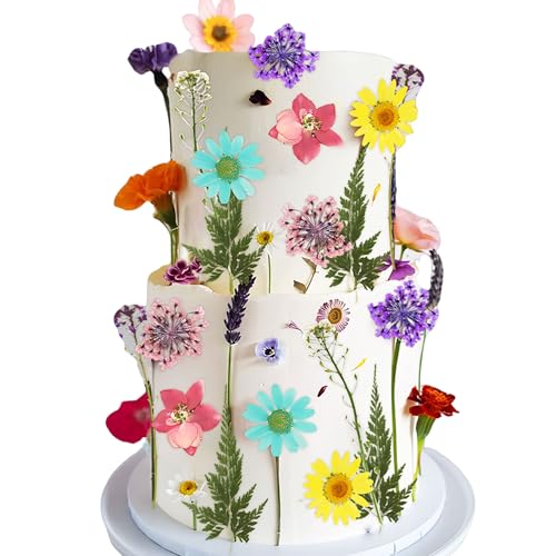 JeVenis Pinke Wildblumen Tortendekoration Wildblumendekor Baby in Bloom Tortendekoration für Babyshower Geburtstag Brautparty Hochzeit Partydekoration JeVenis Pinke Wildblumen Tortendekoration Wildblumendekor Baby in Bloom Tortendekoration für Babyshower Geburtstag Brautparty Hochzeit Partydekoration von JeVenis