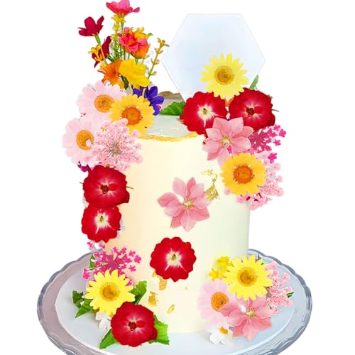 JeVenis Rote Wildblumen Tortendekoration Wildblumendekor Baby in Bloom Tortendekoration für Babyshower Geburtstag Brautdusche Hochzeit Party Dekoration von JeVenis
