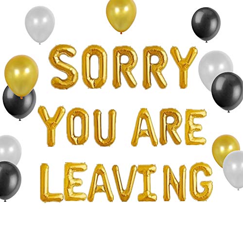 JeVenis Set of 13 Sorry You Are Leaving Sign Sorry You Are Leaving Balloon We Will Miss You Office Work Party Retirement Party Decor von JeVenis