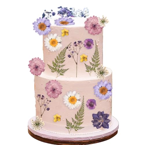 JeVenis Violette Wildblumen-Kuchendekoration, Wildblumen-Dekoration, Baby in Blüte, für Babyparty, Geburtstag, Brautparty, Hochzeit, Party-Dekoration JeVenis Violette Wildblumen-Kuchendekoration, Wildblumen-Dekoration, Baby in Blüte, für Babyparty, Geburtstag, Brautparty, Hochzeit, Party-Dekoration von JeVenis