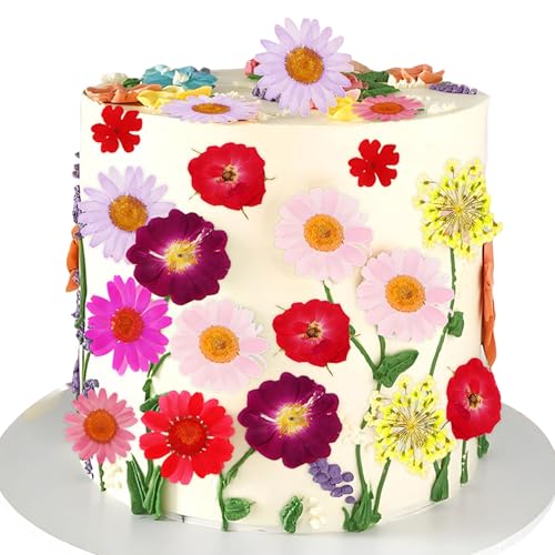 JeVenis Wildblumen TortendekorationRot Lila Wildblumen Dekor Baby In Bloom Tortendekoration für Babyshower Geburtstag Brautdusche Hochzeit Party Dekoration JeVenis Wildblumen TortendekorationRot Lila Wildblumen Dekor Baby In Bloom Tortendekoration für Babyshower Geburtstag Brautdusche Hochzeit Party Dekoration von JeVenis