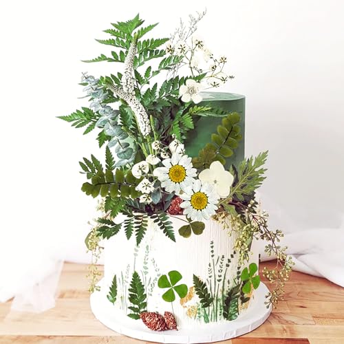 JeVenis Wildflower Tortenaufleger Gänseblümchen Dekor Baby in Blüte Babydusche Cake Toppers für Frauen Geburtstag Bridal Shower Hochzeit Party Dekoration Getrocknete Blume Kuchen JeVenis Wildflower Tortenaufleger Gänseblümchen Dekor Baby in Blüte Babydusche Cake Toppers für Frauen Geburtstag Bridal Shower Hochzeit Party Dekoration Getrocknete Blume Kuchen von JeVenis