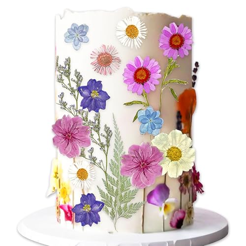 JeVenis Wildflower Tortenaufleger Wildflower Dekoration Baby In Bloom Babydusche Cake Toppers für Frauen Geburtstag Bridal Shower Hochzeit Party Dekoration (nicht essbar) JeVenis Wildflower Tortenaufleger Wildflower Dekoration Baby In Bloom Babydusche Cake Toppers für Frauen Geburtstag Bridal Shower Hochzeit Party Dekoration (nicht essbar) von JeVenis