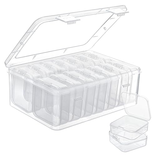 Jeesblsy Kleine Aufbewahrungsboxen mit Decke, Clear Kunststoffperlen Jewelry Organizer Box,15 Teilige Mini Plastik Transparent Box für Perlen Pillen Schmuck Sortierbox Bastelzubehör von Jeesblsy