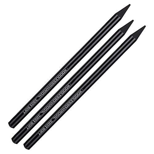 Jeffergarden Professionelles Holzfreies Kohlestifte-Set, 3-teilig, Skizzen- und Zeichenstifte aus Reinem Kohlenstoff, Hart, Mittelweich, für Künstler und Anfänger von Jeffergarden