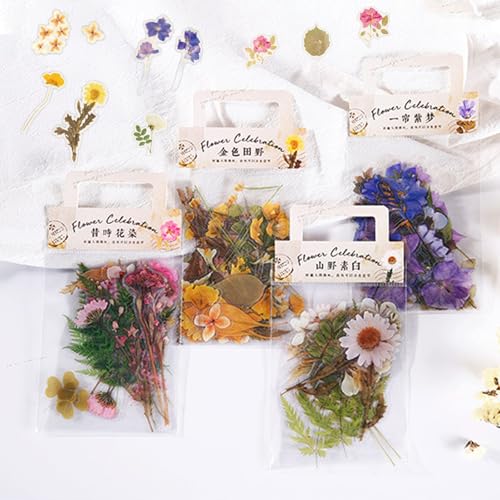 160 Stück Blumen Scrapbooking Aufkleber Set, PET Garten Landschaft Scrapbook Papier, Scrapbooking Aufkleber, Aesthetic Sticker Set, Dekorative Aufkleber Vintage für Heimwerker 160 Stück Blumen Scrapbooking Aufkleber Set, PET Garten Landschaft Scrapbook Papier, Scrapbooking Aufkleber, Aesthetic Sticker Set, Dekorative Aufkleber Vintage für Heimwerker von JeiibrZui