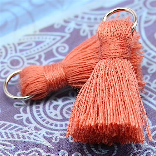 10 pcs 2 cm Bunt Mini Quasten AnhäNger, Tassel Klein Lesezeichen Quasten Boho Troddel Deko Quaste Bastelquasten Quasten SchlüSselanhäNger MöBel Quasten Zierquaste Seidenquaste für DIY(Rosenrot) von JekyTMP