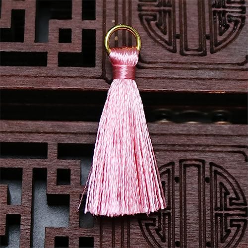 15 Pieces 3 cm Mini Quastenanhänger, Seidige Mini Fransen Bunte Tassels Weich Troddel Quasten Anhänger Lesezeichen Quaste für Schlüsselbund, Geschenkanhänger, Schmuckherstellung(Warmes Rosa) von JekyTMP