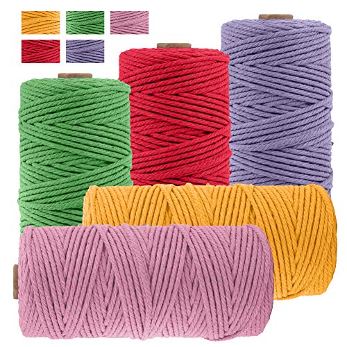 JeogYong 5 Stück Makramee Garn Set, Bobbiny Makramee Garn Baumwollgarn Makramee-Seil Weiches Baumwoll-Seil, zum Wandbehänge, Pflanzenhalter, Basteln, Heimtextilien, 3 mm x 100 m (5 Farben D) von JeogYong