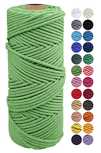 JeogYong Naturliches Baumwolle Garn, Natürlich Baumwollgarn Makramee-Seil Weiches Baumwoll-Seil, zum Wandbehänge, Pflanzenhalter, Basteln, Heimtextilien, Geschenkverpackung 2mm x 100m (Grasgrün) von JeogYong