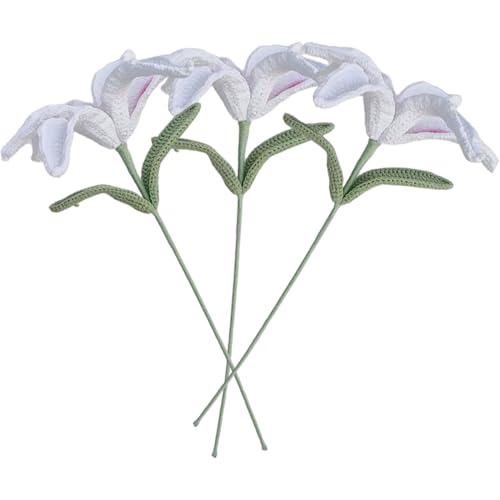 Jeorywoet Künstliche Lilieblumen, 3pcs Häkelblumen, realistische gestrickte künstliche Lilie, Lilien für den Muttertag, Jubiläen und Wohnkultur, Lilien Jeorywoet Künstliche Lilieblumen, 3pcs Häkelblumen, realistische gestrickte künstliche Lilie, Lilien für den Muttertag, Jubiläen und Wohnkultur, Lilien von Jeorywoet
