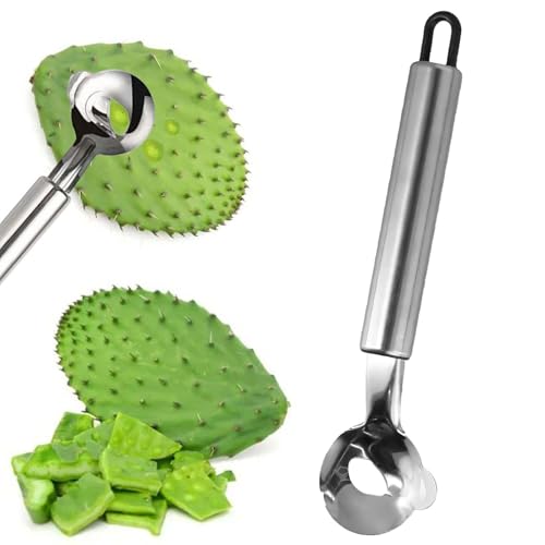 Kaktusschällöffel, Edelstahl-Kaktusschäler, multifunktionaler Kaktusschäler, chinesischer Nudelschneider zum Kochen von Küchengeräten (1PCS) von Jerpsen