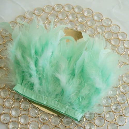 2 5 10 M Truthahnfedern Fransenborte 10-15 cm für DIY Party Kleid Hochzeit Kleidung Dekorieren Zubehör Handwerk 2 5 10 M Truthahnfedern Fransenborte 10-15 cm für DIY Party Kleid Hochzeit Kleidung Dekorieren Zubehör Handwerk von Jhdwu