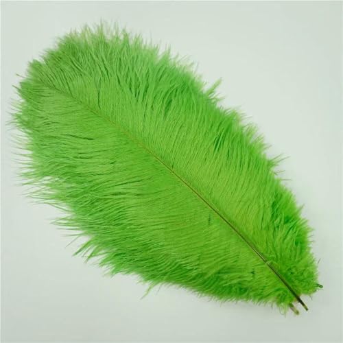 Jhdwu 10 Stück farbige Straußenfedern für Bastelarbeiten, Hochzeitsdekoration, Bastelzubehör, Tischdekoration, Karneval, Pflaumen-Dekor von Jhdwu