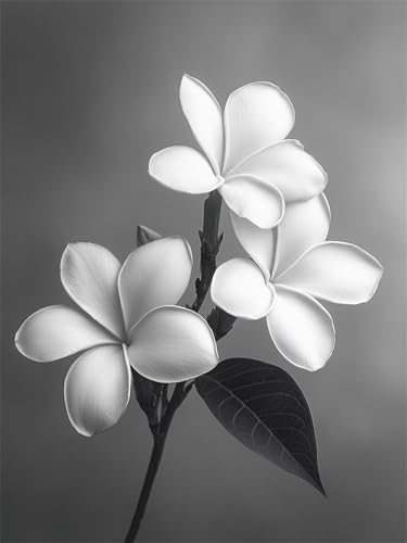 Diamond Painting Blume 90x120cm DIY Runden Vollbohrer Weiß Diamant Painting Bilder für Erwachsene Kinder, 5D Crystal Art Basteln Stickerei Kreuzstich Malerei für Stressabbau, Kreatives Geschenk L-668 von Jiaxaong