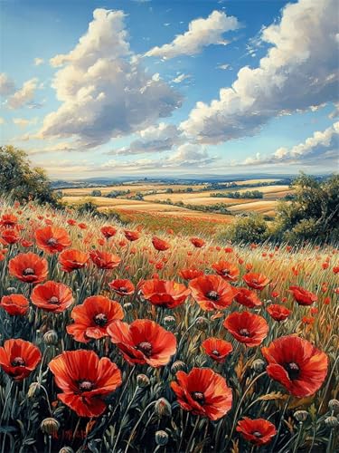 Diamond Painting Blumenmeer 30x40cm DIY Runden Vollbohrer Weiße Wolke Diamant Painting Bilder für Erwachsene Kinder, Basteln Stickerei Kreuzstich Malerei für Stressabbau, Kreatives Geschenk L-659 von Jiaxaong