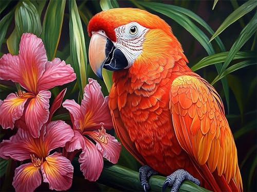 Diamond Painting Papagei 50x70cm DIY Runden Vollbohrer Blume Diamant Painting Bilder Erwachsene Kinder, 5D Crystal Art Basteln Stickerei Kreuzstich Malerei für Stressabbau, Kreatives Geschenk L-929 von Jiaxaong