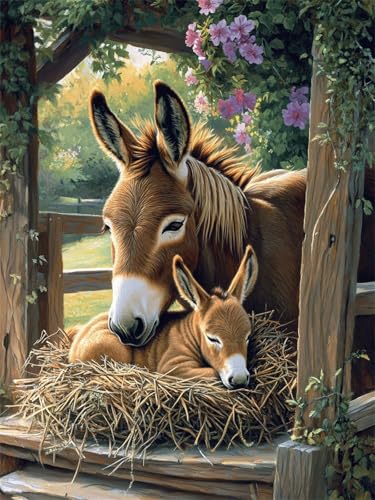 Diamond Painting Tier 10x15cm DIY Runden Vollbohrer Esel Diamant Painting Bilder für Erwachsene Kinder, 5D Crystal Art Basteln Stickerei Kreuzstich Malerei für Stressabbau, Kreatives Geschenk L-34 von Jiaxaong