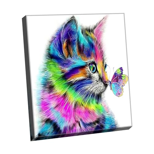 JingZhouYang Malen nach Zahlen für Kinder, Erwachsene und Anfänger, Geschenkset, 40 x 30 cm, Motiv: Katze und Schmetterling, mit Word-Rahmen JingZhouYang Malen nach Zahlen für Kinder, Erwachsene und Anfänger, Geschenkset, 40 x 30 cm, Motiv: Katze und Schmetterling, mit Word-Rahmen von JingZhouYang