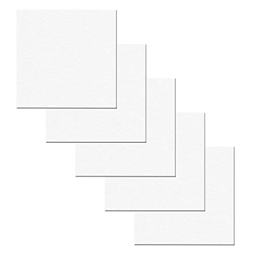 Jinlaili 5 STÜCK Weiß Keilrahmen mit Leinwand aus Baumwolle, Weiße Künstler Leinwänd Panel, Keilrahmen Set für Ölund Acrylfarben, Leere Dick Leinwand Zum für Acryl, Ölfarbe (20 * 20cm) von Jinlaili