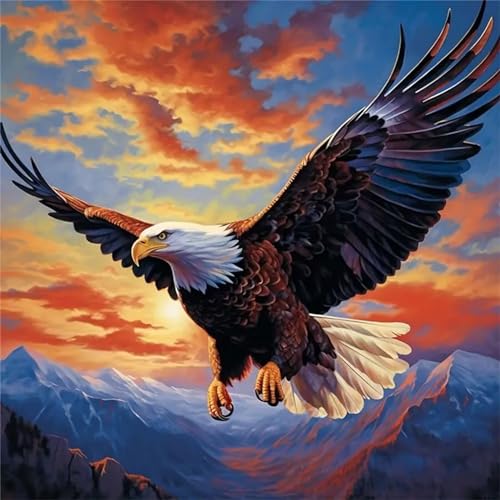 5D Diamond Painting Adler,Erwachsene Diamant Painting Bilder Landschaftlicher Vogel Diamond Art Full DIY Strass Stickerei Kreuzstich Diamant Kunst Malerei Set Home Wand Dekor Runder Bohrer,70x70 cm von Jinmer