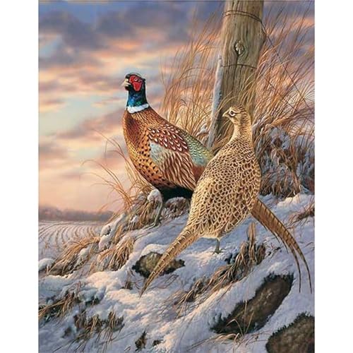 5D Diamond Painting Erwachsene Kit,Winter-Fasan Diamant Painting Bilder,DIY Diamond Art für Erwachsene Kinder Kristall Strass Kreuzstich Stickerei Malen Nach Zahlen Geschenke Wand Deko,30x50cm 5D Diamond Painting Erwachsene Kit,Winter-Fasan Diamant Painting Bilder,DIY Diamond Art für Erwachsene Kinder Kristall Strass Kreuzstich Stickerei Malen Nach Zahlen Geschenke Wand Deko,30x50cm von Jinmer
