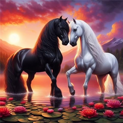 Schwarzes weißes Pferd Diamond Painting Set,5D DIY Diamant Painting Bilder Full Vierkant Kristall Stickerei Kreuzstich Kunsthandwerk Home Schlafzimmer Büro Wand Dekoration 40x40cm von Jinmer
