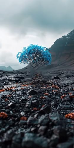 Diamond Painting Erwachsene Groß XXL 100x200cm, 5D Diamond Painting Baum Diamant Paintings Bilder Wüste Daiments Paintings Kinder, DIY Mosaik Bastelset Erwachsene, Halloween Deko Wohnzimmer J2-14130 Diamond Painting Erwachsene Groß XXL 100x200cm, 5D Diamond Painting Baum Diamant Paintings Bilder Wüste Daiments Paintings Kinder, DIY Mosaik Bastelset Erwachsene, Halloween Deko Wohnzimmer J2-14130 von Jinycoon