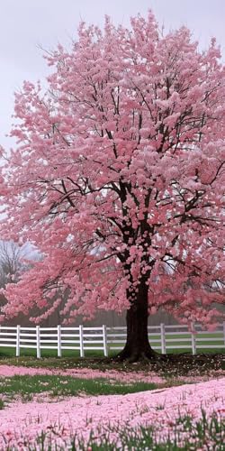 Diamond Painting Kirschblüten Diamant Painting Bilder Erwachsene Baum Diamond Paintings Set, 5D Daiments Paintings Kinder, DIY Diamant Malerei Stickerei Basteln Mädchen, Zimmer Deko 10x20cm J2-14312 von Jinycoon