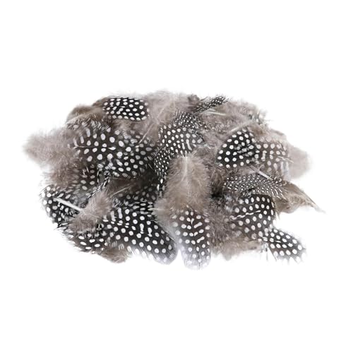 Jipersuo 50 Stück atemberaubende Geflügelfedern, handgefertigt, elegante Kopfbedeckung, Heimdekoration, Partyzubehör, schöne Kollektion, Federdekorationen, Abschlussball-Zubehör Jipersuo 50 Stück atemberaubende Geflügelfedern, handgefertigt, elegante Kopfbedeckung, Heimdekoration, Partyzubehör, schöne Kollektion, Federdekorationen, Abschlussball-Zubehör von Jipersuo