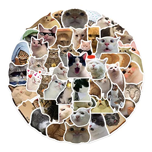 50 Stück Tieraufkleber Katzen Aufkleber für Kinder PVC Aufkleber für Wasserflaschen Gitarre Stoßstange Koffer Fahrrad 50 Stück Tieraufkleber Katzen Aufkleber für Kinder PVC Aufkleber für Wasserflaschen Gitarre Stoßstange Koffer Fahrrad von Jiqoe