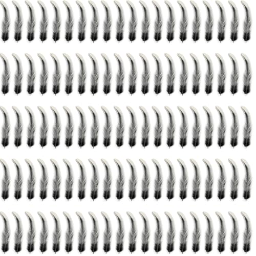 Jiqoe 100 Stück natürliche Flügel, natürliche schwarze Flügeldekoration für Traumfänger, Hochzeitsdekoration, Maskerade von Jiqoe