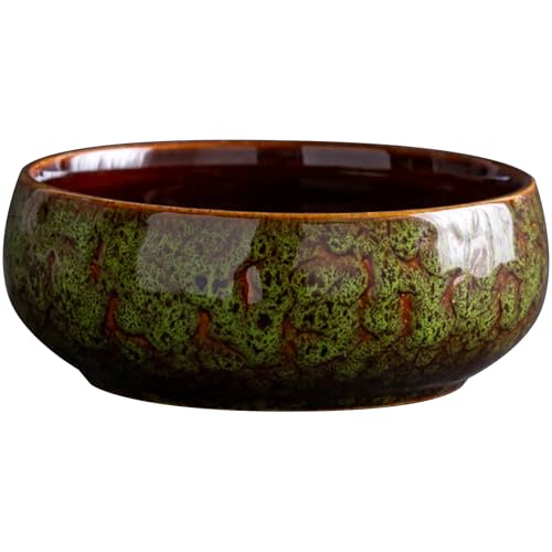 Jiqoe Dekorative Keramiktöpfe, Blumenschale, Behälter für Narzissen und grünen Rettich, moderne Innenräume, Innenräume, Wassergärtnerei Jiqoe Dekorative Keramiktöpfe, Blumenschale, Behälter für Narzissen und grünen Rettich, moderne Innenräume, Innenräume, Wassergärtnerei von Jiqoe