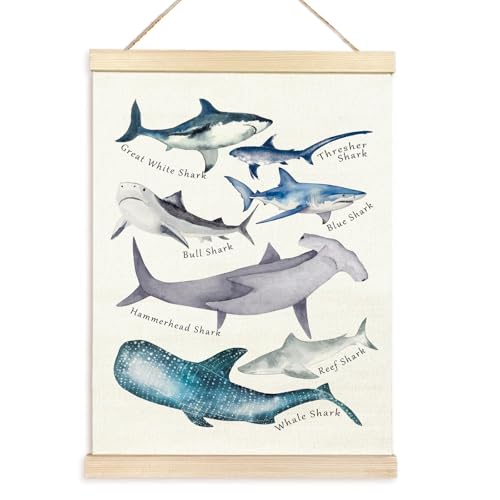 Jiqoe Klassenzimmer-Wanddekoration, Wale, pädagogisches Poster mit Tier-Illustrationen für Kleinkinder, Vorschule, Lerndekorationen Jiqoe Klassenzimmer-Wanddekoration, Wale, pädagogisches Poster mit Tier-Illustrationen für Kleinkinder, Vorschule, Lerndekorationen von Jiqoe