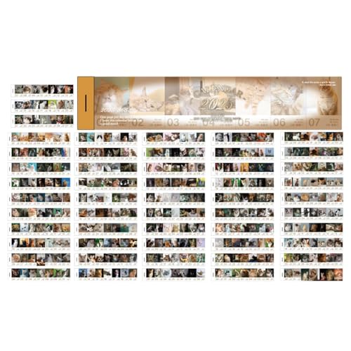 Jlobnyiun Kalender Aufkleber für Erwachsene, Monatsplaner Aufkleber, 371 Blatt Planer Aufkleber mit Zeitprotokollierung Zubehör, Jlobnyiun Kalender Aufkleber für Erwachsene, Monatsplaner Aufkleber, 371 Blatt Planer Aufkleber mit Zeitprotokollierung Zubehör, von Jlobnyiun