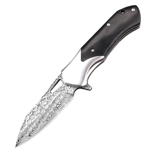 Klappmesser Damaszener Geschmiedet Taschenmesser Scharfe Damaststahl & Ebenholz, Damaskus edelstahl Messer, EDC Messer Outdoor, Survival Jagdmesser Damast klein, Damastmesser neck knife mit holzgriff von Joa
