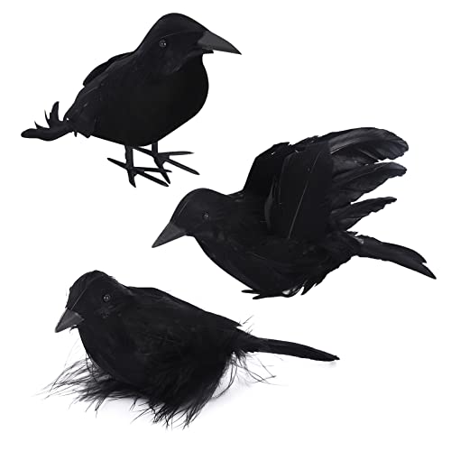 3 Stück Halloween Krähen Künstliche Gefiederte Krähen Realistische Raben Vögel Dekorationen Gespenstische Schwarze Feder Krähe Vogel für Halloween Party Requisiten Innen Außen Haus Garten Dekoration von Jodsen