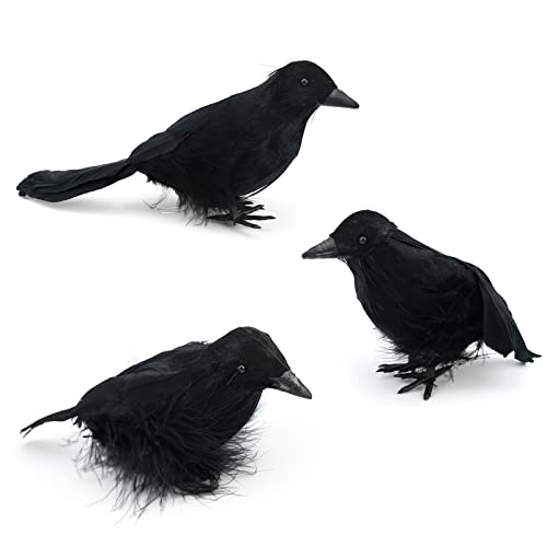3 Stück Halloween Krähen Künstliche Gefiederte Krähen Realistische Raben Vögel Dekorationen Gespenstische Schwarze Feder Krähe Vogel für Halloween Party Requisiten Innen Außen Haus Garten Dekoration 3 Stück Halloween Krähen Künstliche Gefiederte Krähen Realistische Raben Vögel Dekorationen Gespenstische Schwarze Feder Krähe Vogel für Halloween Party Requisiten Innen Außen Haus Garten Dekoration von Jodsen