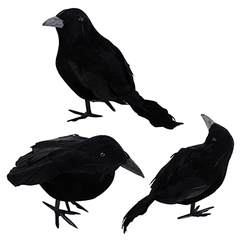 3 Stück Halloween Krähen Künstliche Gefiederte Krähen Realistische Raben Vögel Dekorationen Gespenstische Schwarze Feder Krähe Vogel für Halloween Party Requisiten Innen Außen Haus Garten Dekoration 3 Stück Halloween Krähen Künstliche Gefiederte Krähen Realistische Raben Vögel Dekorationen Gespenstische Schwarze Feder Krähe Vogel für Halloween Party Requisiten Innen Außen Haus Garten Dekoration von Jodsen