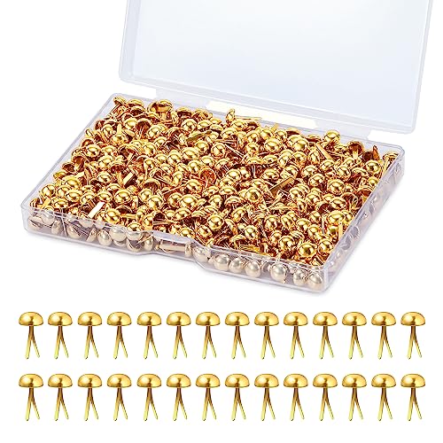 Mini Brads Runde Metall Brads Papierverschlüsse Gold Musterbeutelklammern für Scrapbooking Basteln DIY Kunsthandwerk 6mm 500 Stück Mini Brads Runde Metall Brads Papierverschlüsse Gold Musterbeutelklammern für Scrapbooking Basteln DIY Kunsthandwerk 6mm 500 Stück von Johotone
