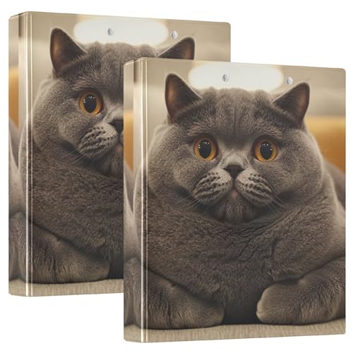 Chubby British Kurzhaar-Druck, 3 Ringordner, 3,8 cm, für 200 Blatt, gemusterte Notizbuch, Ordner, runder Ringbuch, 31,5 x 27 x 6 cm, 2 Stück Chubby British Kurzhaar-Druck, 3 Ringordner, 3,8 cm, für 200 Blatt, gemusterte Notizbuch, Ordner, runder Ringbuch, 31,5 x 27 x 6 cm, 2 Stück von Joitme