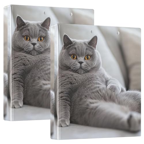 Mollige graue Katze, entspannende 3-Ringe, 3,8 cm, Ordner für 200 Blatt, niedliches Klemmbrett, runder Ring, Rezeptbuch, 31,5 x 27 x 6 cm, 2 Stück von Joitme